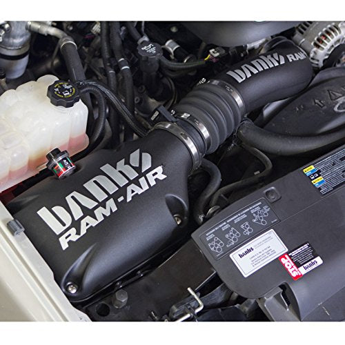 41802-D Banks Air Intake System