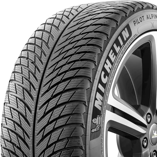 Pilot Alpin 5 MICHELIN all_ Season Radial Tire-265/040R19 102V