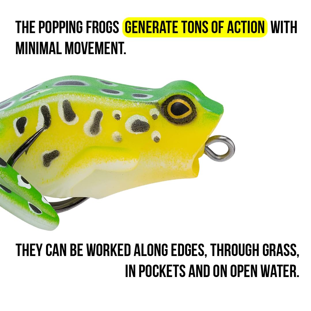 Frog Fishing Lure Lunkerhunt for Bass Fishing | Popping Frog 0.5 oz | Topwater Fishing Bait with Weedless Hooks, Hollow Body (Leopard)