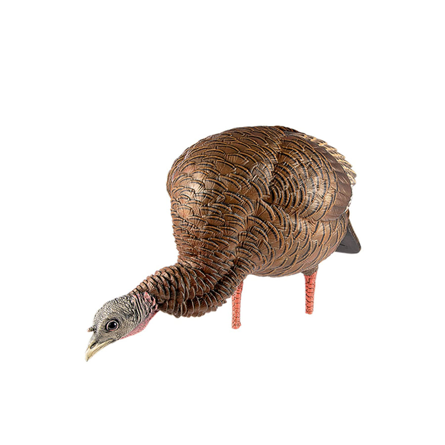 HDR Feeding Avian-X Hen Turkey Decoy