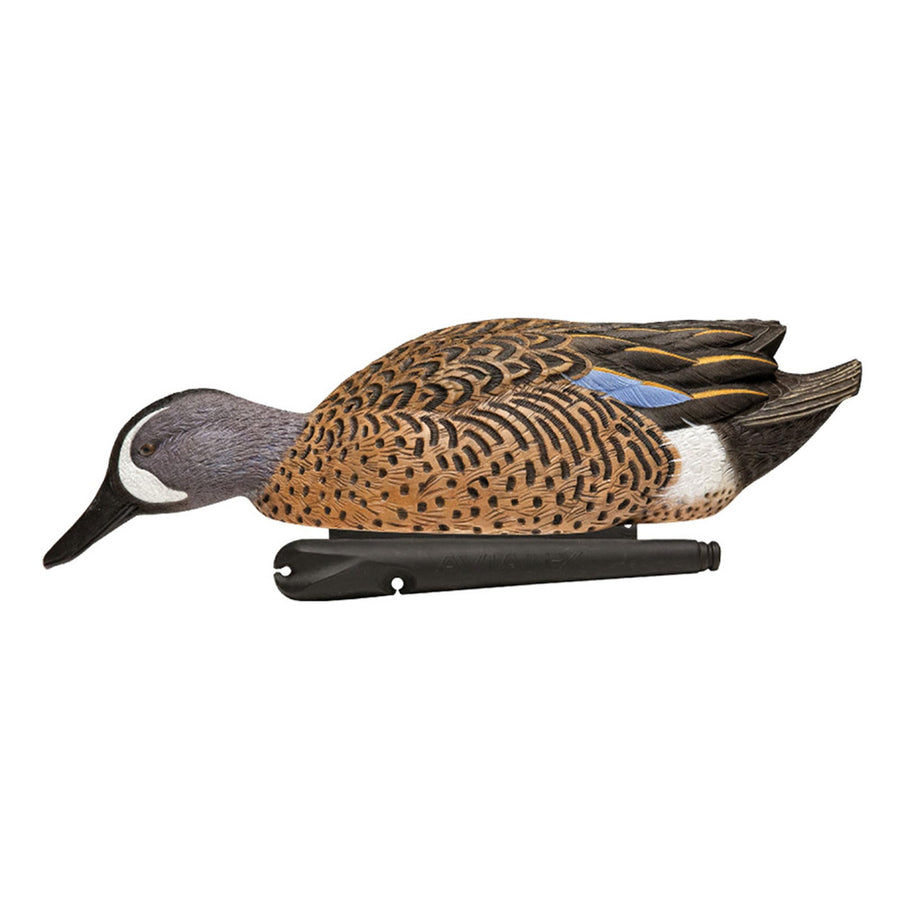 Avian X Blue-Winged Teal Topflight Decoys, Realistic Floating Duck Decoys for Hunting, Weight-Forward Swim Keel, Set of 6, Multicolor