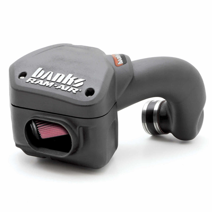 RAM Banks 42225 Air Intake System