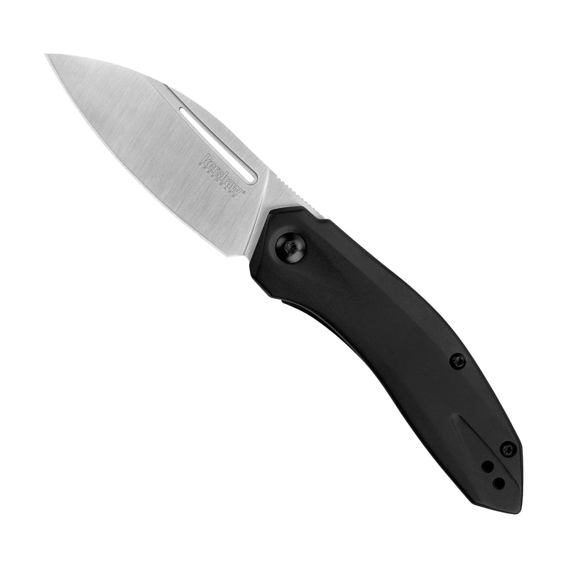 Kershaw Leaf Blade Turismo Pocket Knife 2.9 inch Blade, Assisted Opening Frame Lock, 5505, Black, 2.8 Ounce
