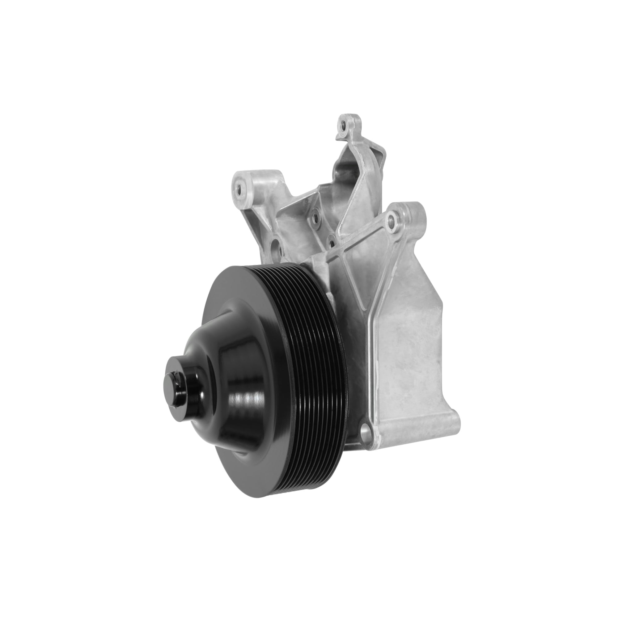 Power Steering Holley 20-233 Add-on System for LT5