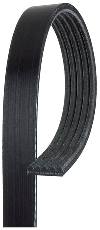 Premium Gates V-Ribbed Belt K050419