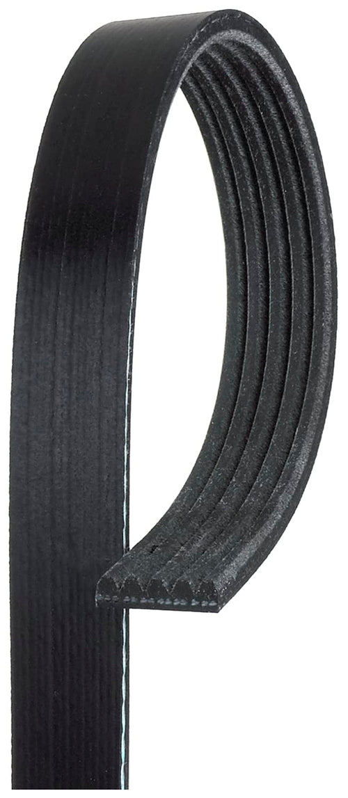 Premium Gates V-Ribbed Belt K050419