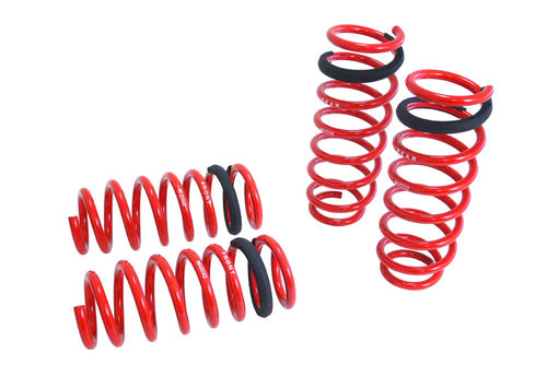 Coilover Lowering Spring Megan Racing MR-LS-BF10