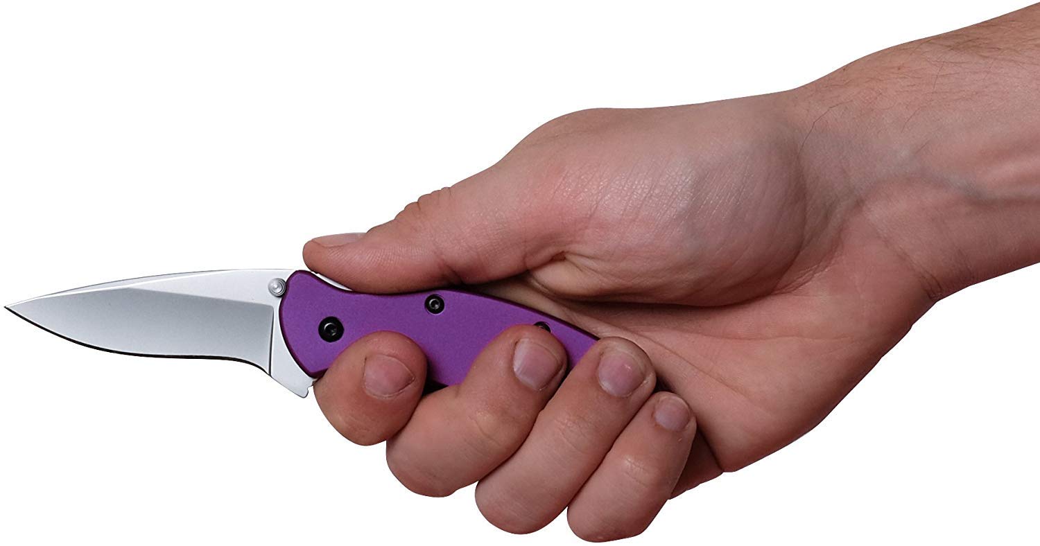 Kershaw Purple Scallion Folding Knife (1620PUR), 2.4 Bead-Blasted 420HC Steel Blade, Anodized Aluminum Handle, SpeedSafe Assisted Open, Flipper, Liner and Tip Lock, Single-Position Pocketclip; 2.5 OZ