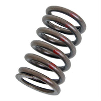 VS-310 Melling Valve Spring