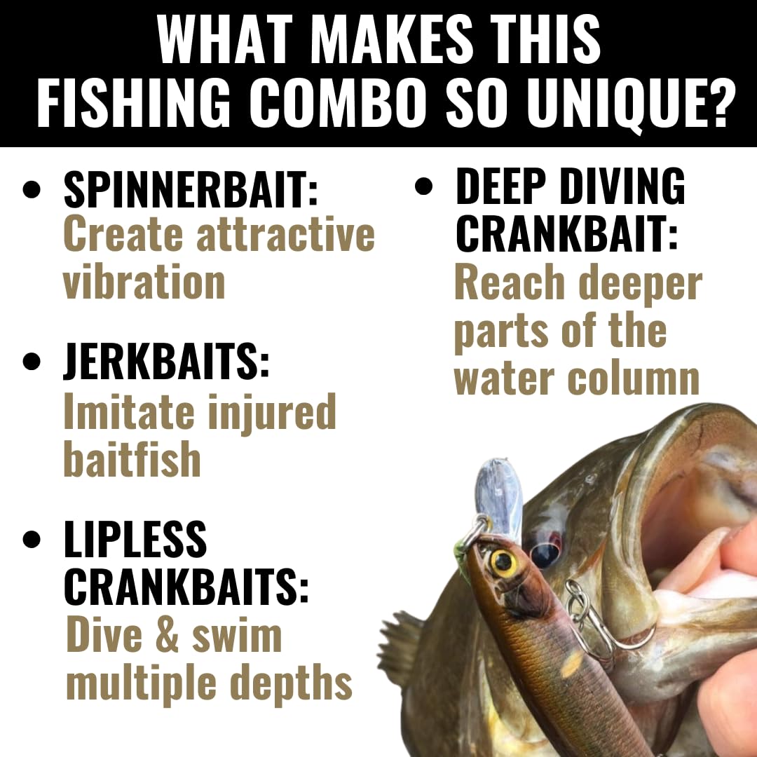 Deep Diving LUNKERHUNT Crankbaits – 4-Pack | Premium Hard Bait Fishing Lures for Bass, Walleye & Saltwater | Ideal for Deep Water Action