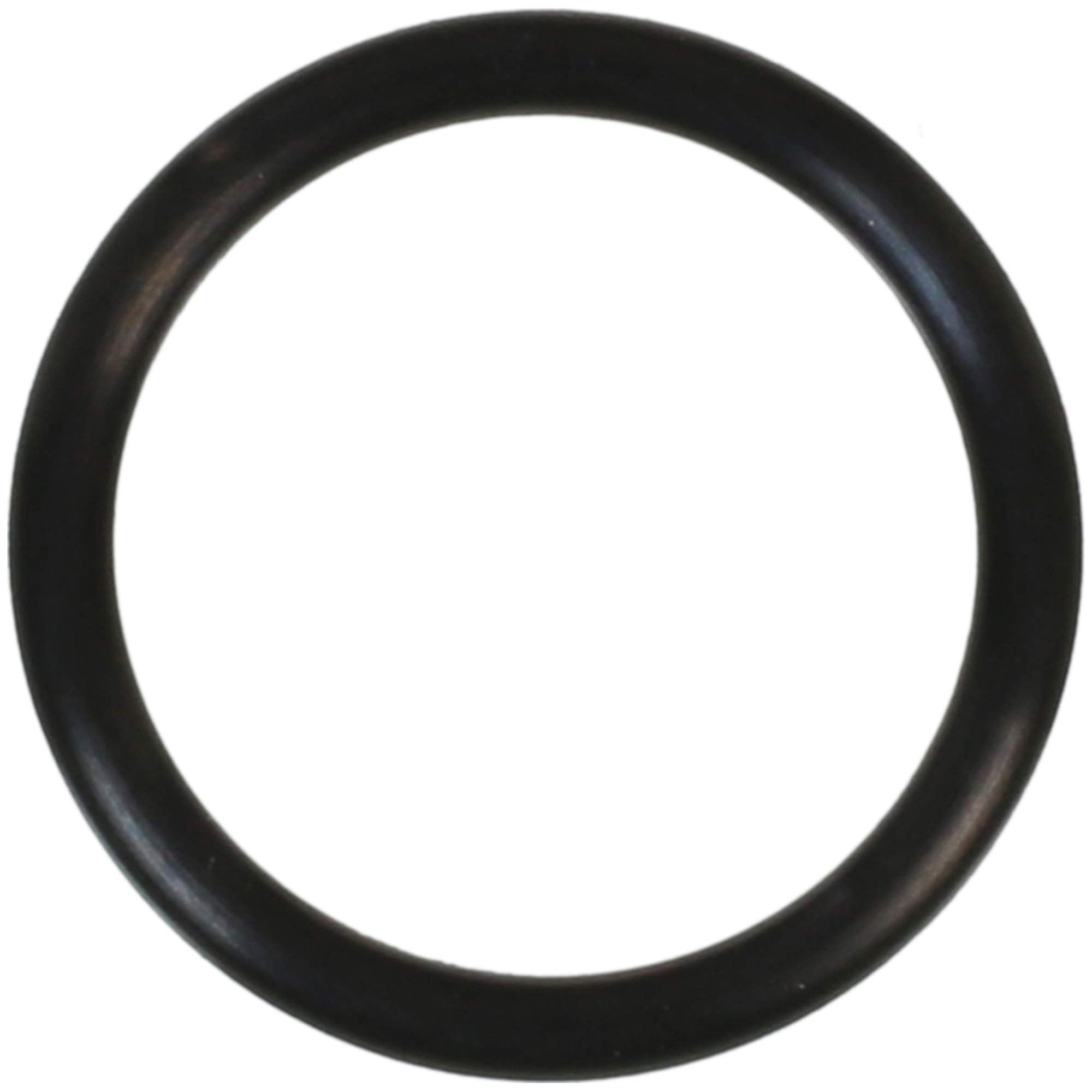 421 FEL-PRO O-Ring