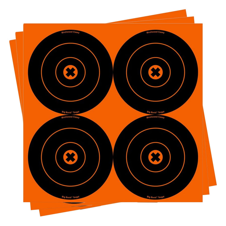 Birchwood Casey 6-Inch Big Burst Bull's-Eye, 12 - 6-Inch Revealing Targets