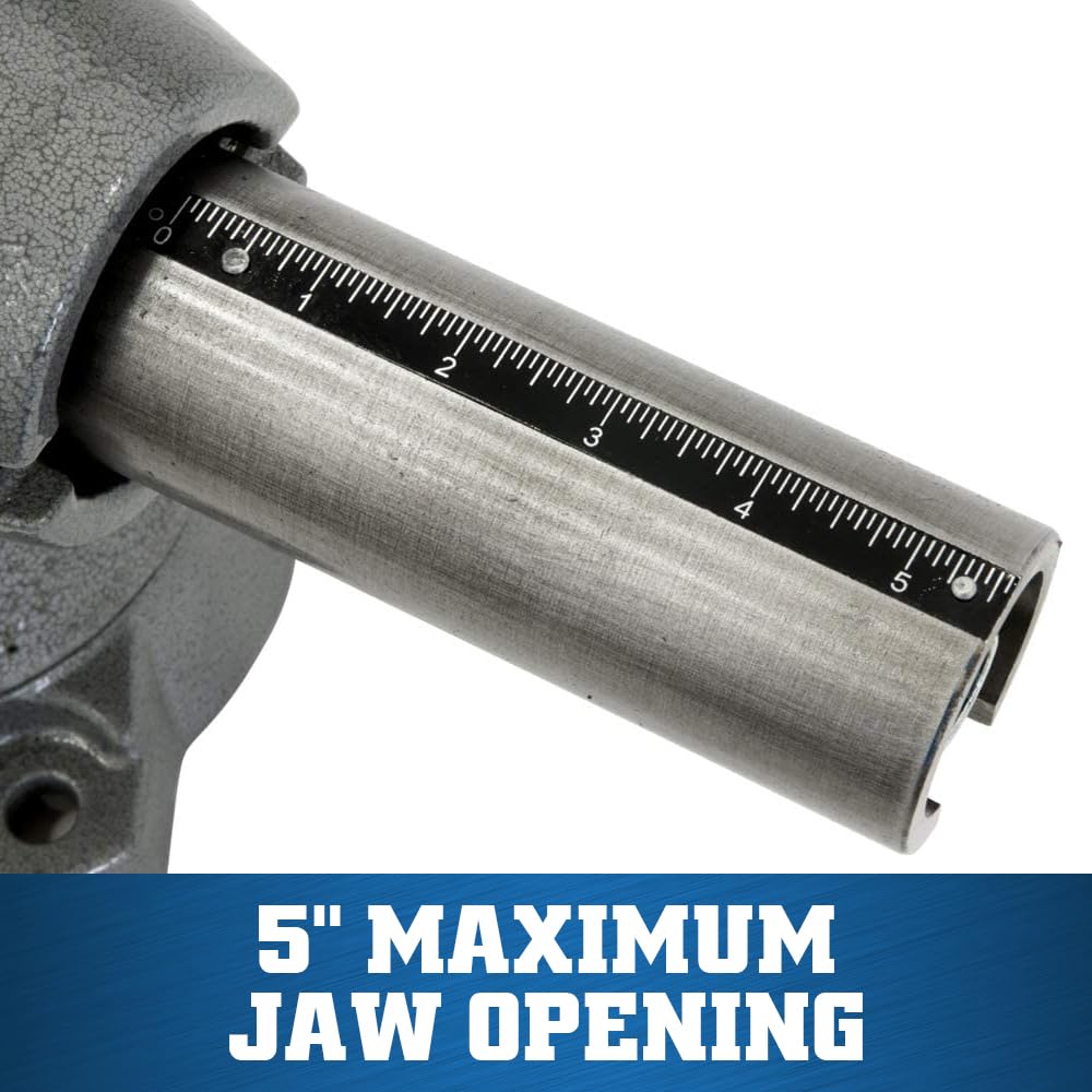 Multi-Purpose Wilton Bench Vise, 5-1/2" Jaw Width, 5" Max Jaw Opening, 2-3/4" Throat (Model 550P)