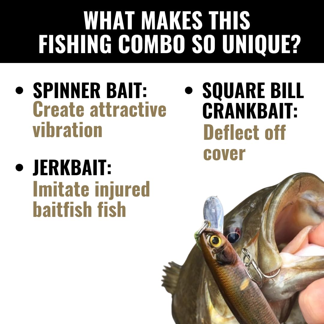 MID LUNKERHUNT Water Crankbaits – 4-Pack | Premium Hard Bait Fishing Lures for Bass, Walleye & Saltwater | Ideal for Deep Water Action