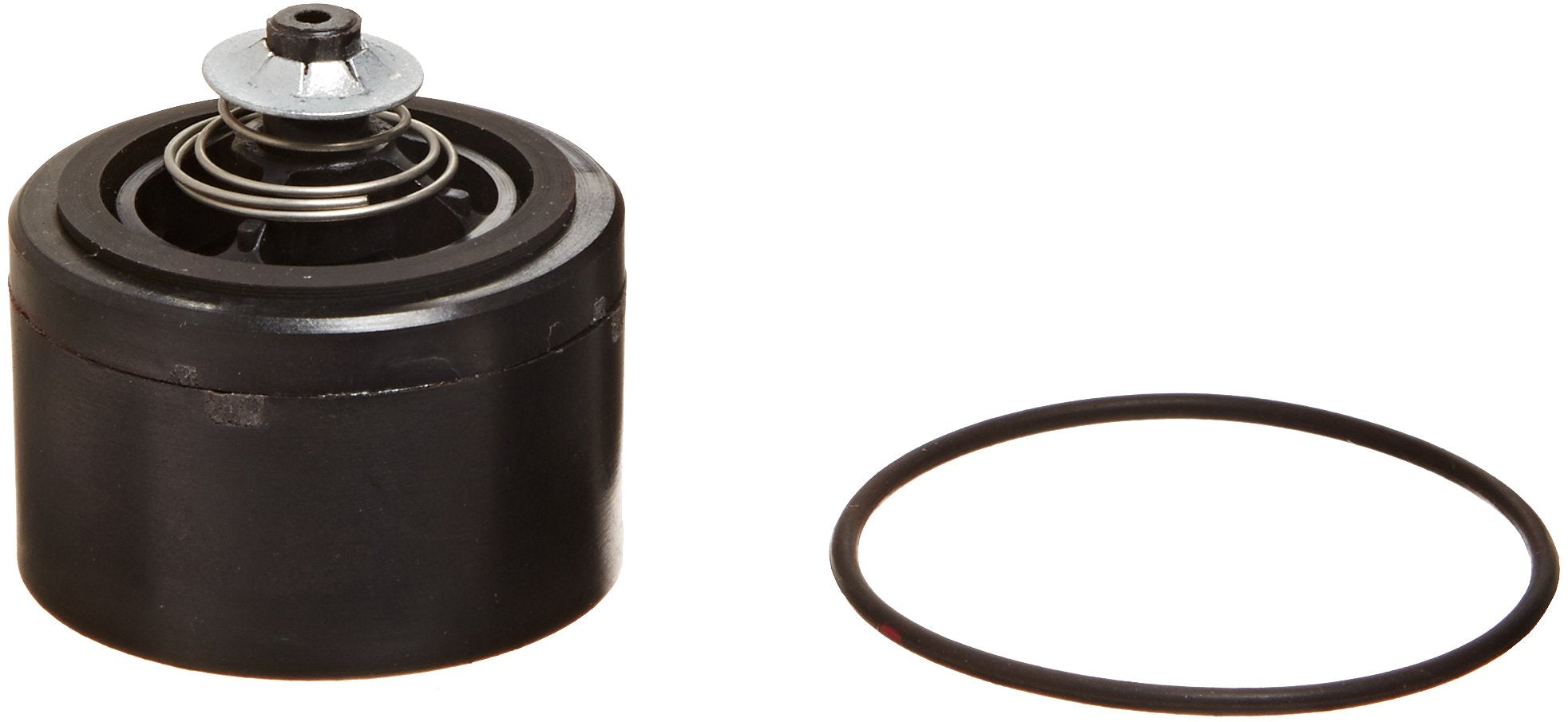 KIT700CV Fill-Rite Kit, check Valve Assembly 700 Series