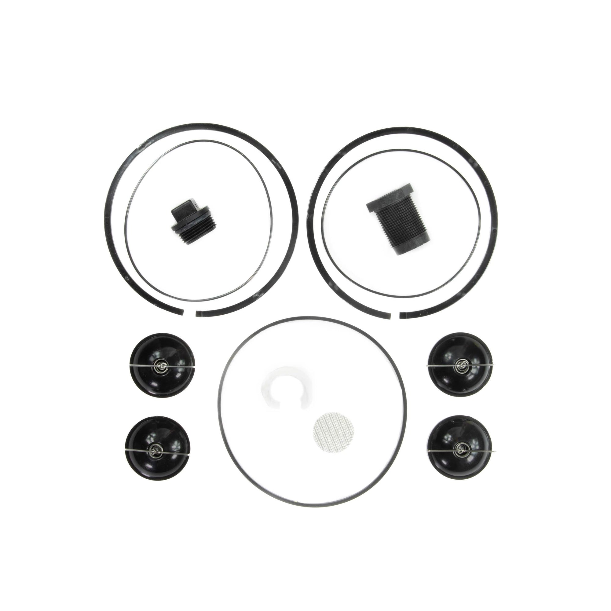 Repair Kit Fill-Rite 5200KTF1828 for 5200 Series Piston Hand Pumps