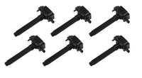 Blaster Series MSD 827363 Ignition Coils, Black, 6-pack