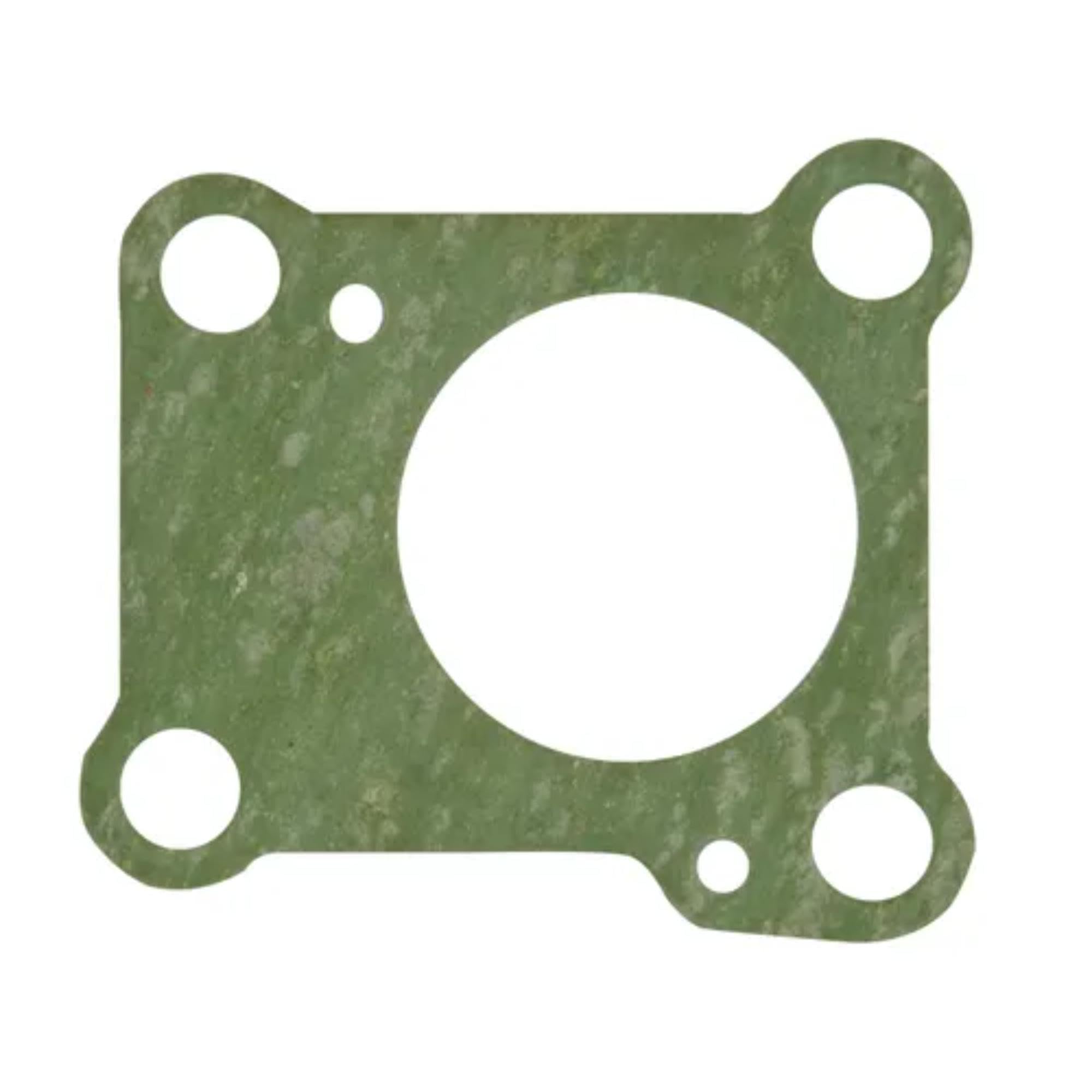 Gasket, Sierra, 18-2495