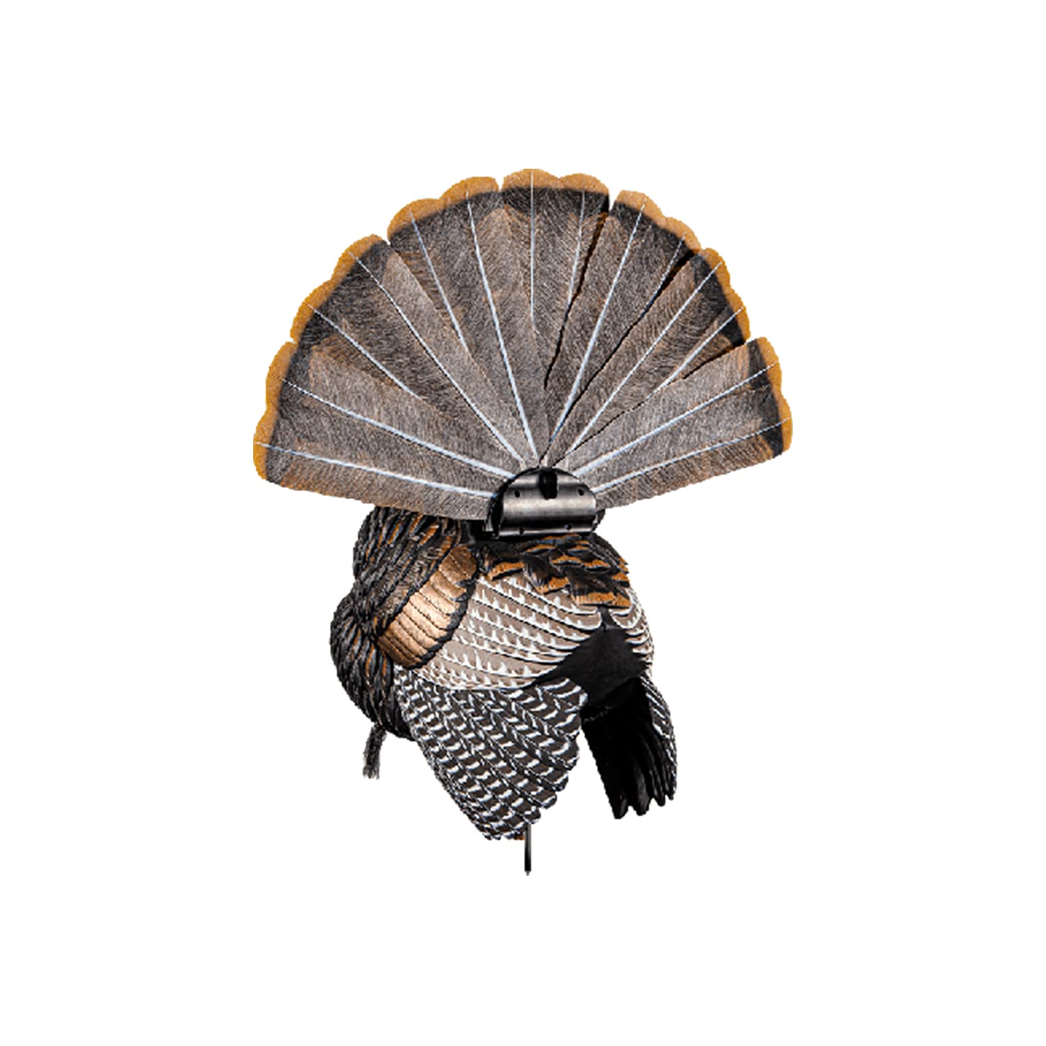 HDR Turkey Decoy Avian-X HDR Strutter