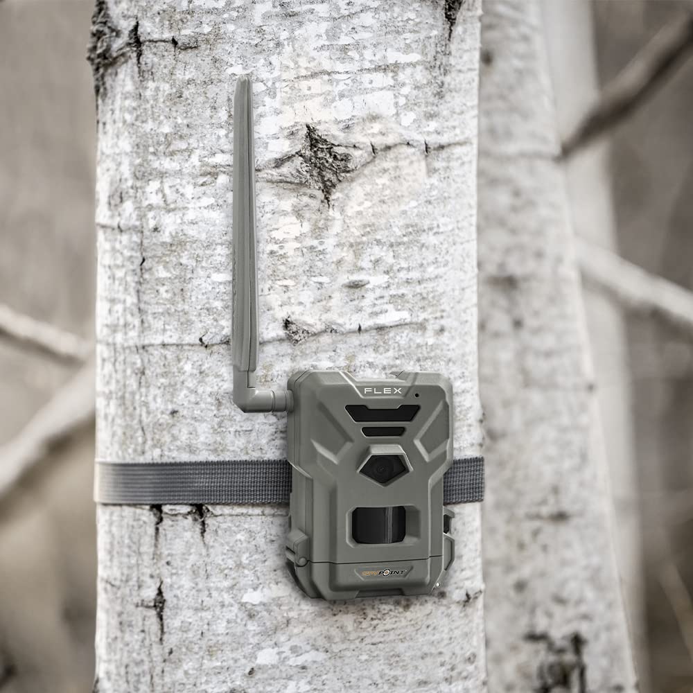 SPYPOINT Flex Trail Camera Cellular - Dual-Sim LTE,1080p Videos, 33MP Photos,Night Vision 4 LED Infrared Flash, 100'Detection Range,0.3S Trigger Speed,GPS Enabled,Cell Cameras for Hunting-for USA only