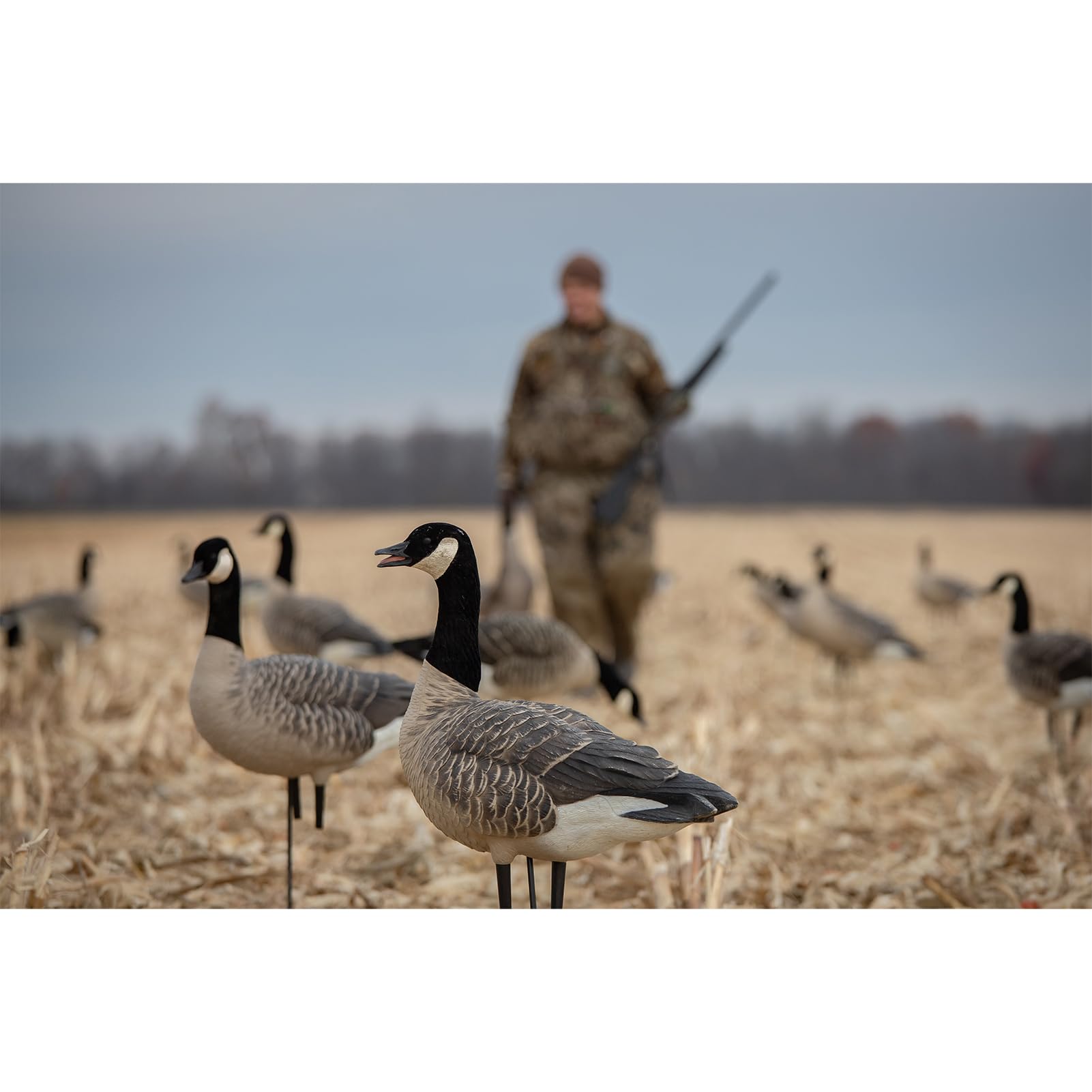 AXP Lessers Avian X Outfitter Pack, 12 Full Body Canada Goose Decoys, Oversized, Flocked Heads, 12 Stakes, Includes 12-Slot Bag