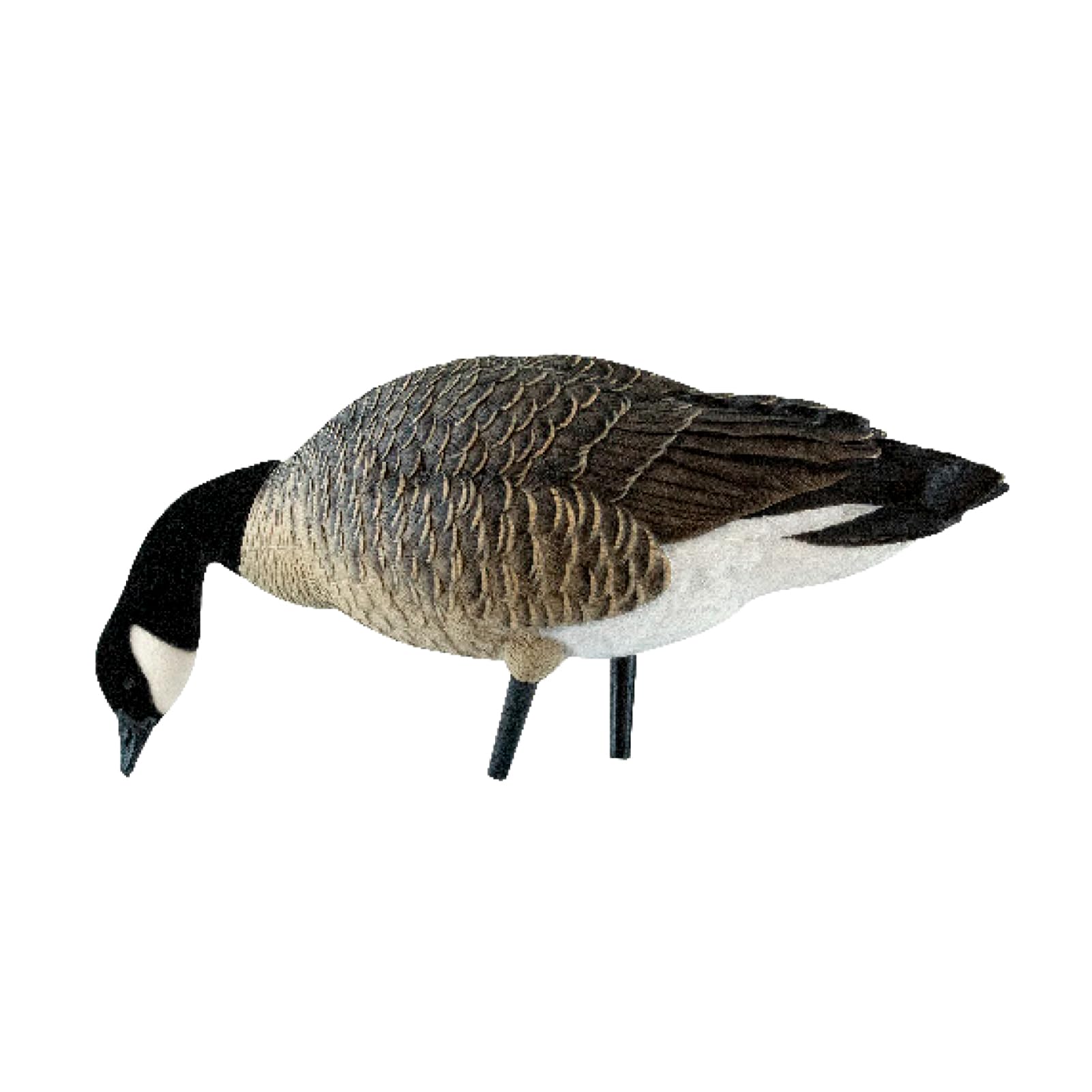 Avian X AXP Fusion Pack Honkers Lesser Canada Goose Decoys, Oversized Realistic Feeder Bodies, Flocked Heads, and Slotted Decoy Bag, Set of 6