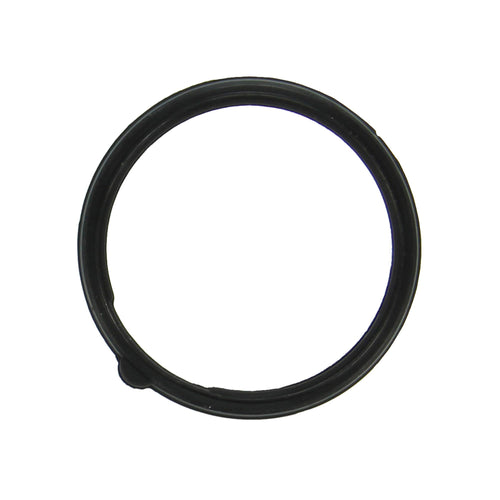 Thermostat FEL-PRO Gasket 35951