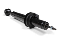 FRT STRUTS 09-12 F150