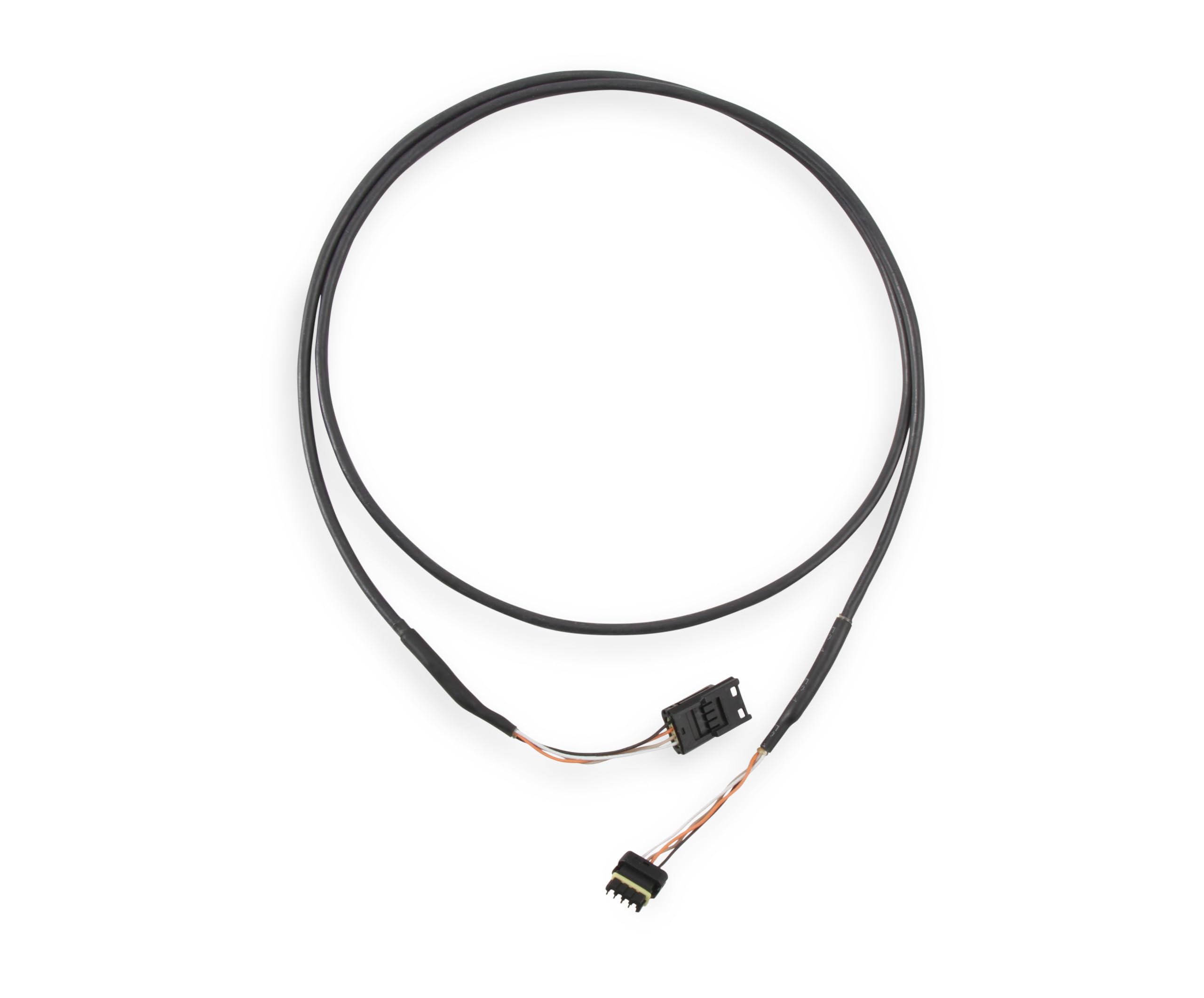 CAN Adapter Harness Holley EFI 558-452, 4 Foot
