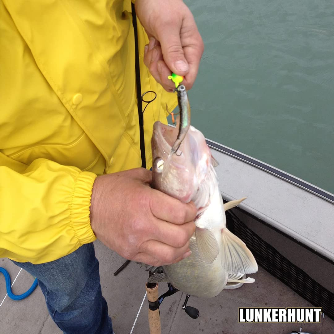 Bento Bait Lunkerhunt Fishing Lure (6 Pieces)| Each 3-Inch, Dace Color | Life-Like Saltwater and Freshwater Fish Baits, Award Winning, Soft Body for Bass Trout Fishing