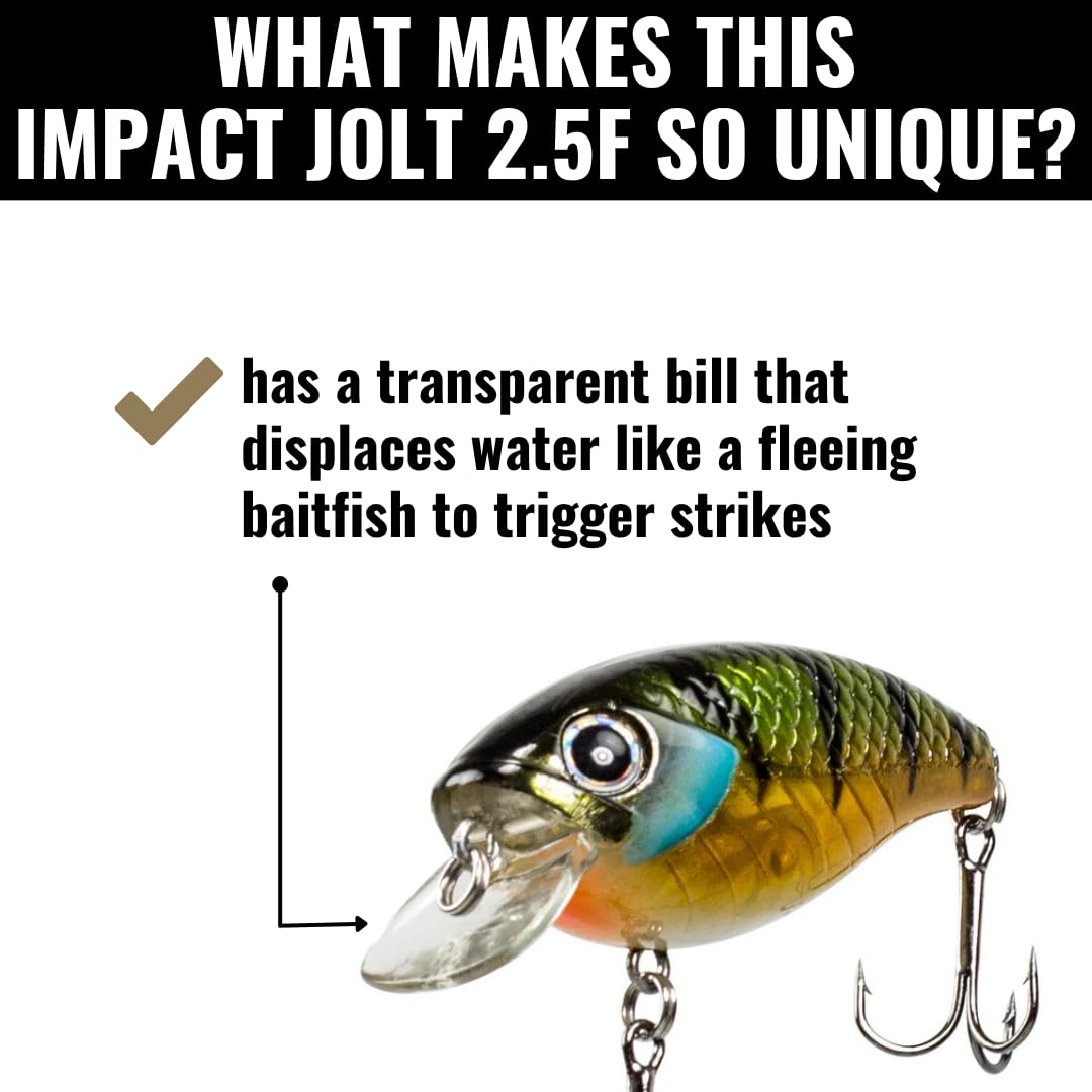 Impact Jolt Lunkerhunt | Crankbait, Deep Diving Hard Bait Fishing Lure | Flat Sided Square Bill, Clear Water, Fresh Water Lure for Bass Fishing, Trout and Spike, Crappie