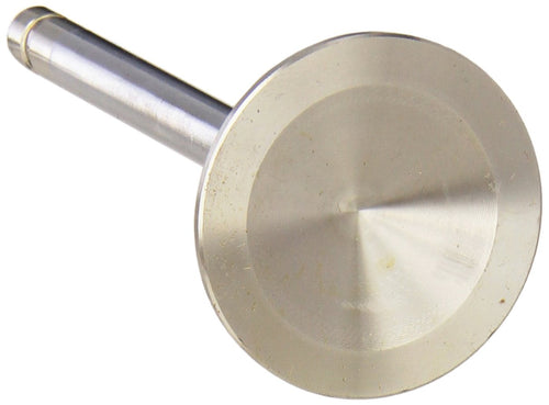 Exhaust Valve Ford Racing (M-6505-A429)