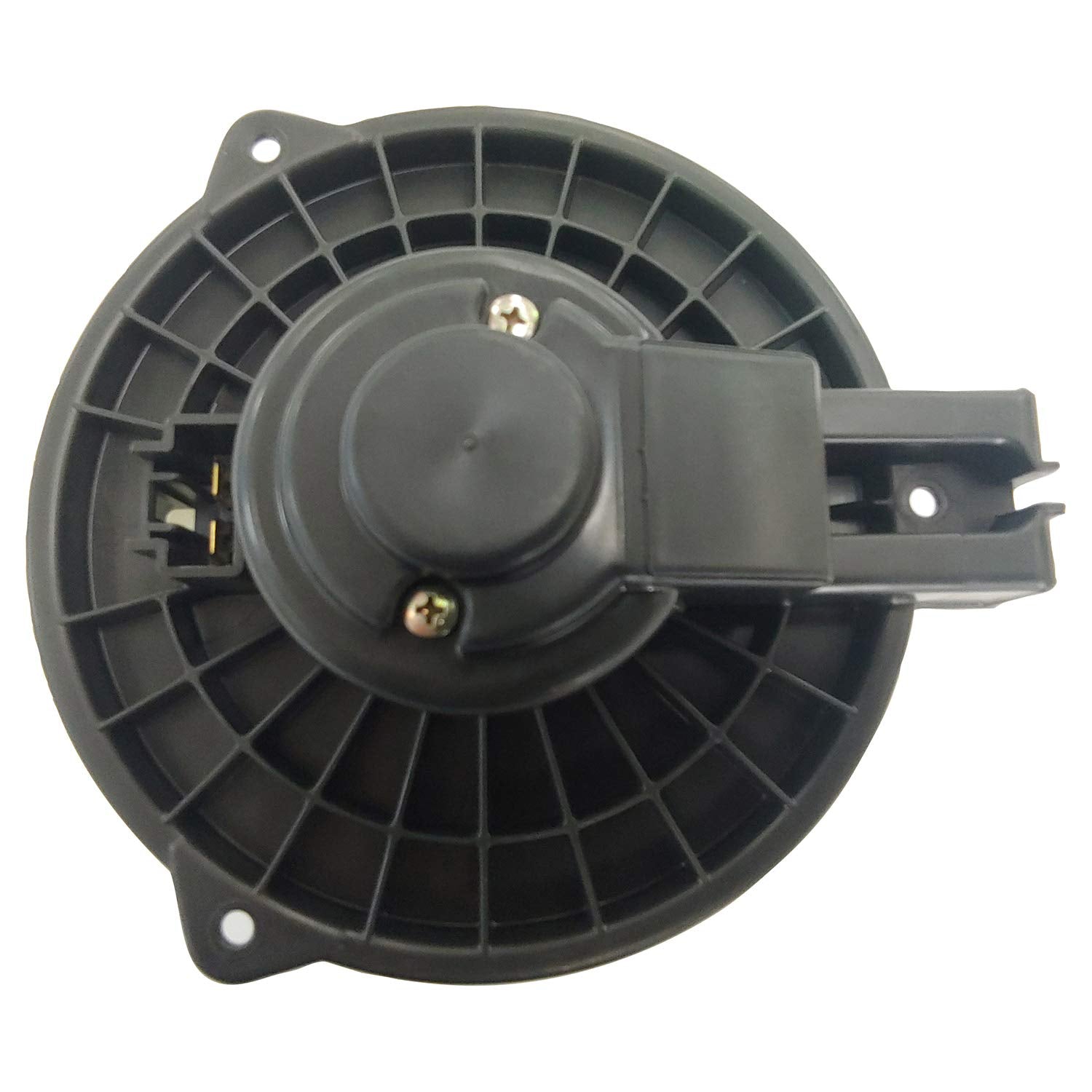Blower TYC Assembly