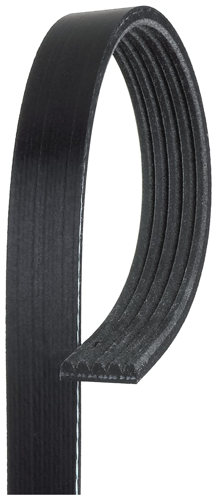 Micro-V Gates K050460 Serpentine Drive Belt