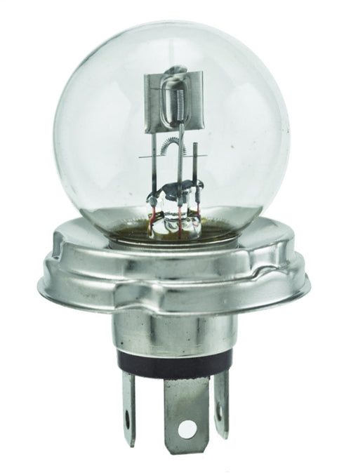 Miniature HELLA Standard Bulb, 24V, 55/50W, Multi