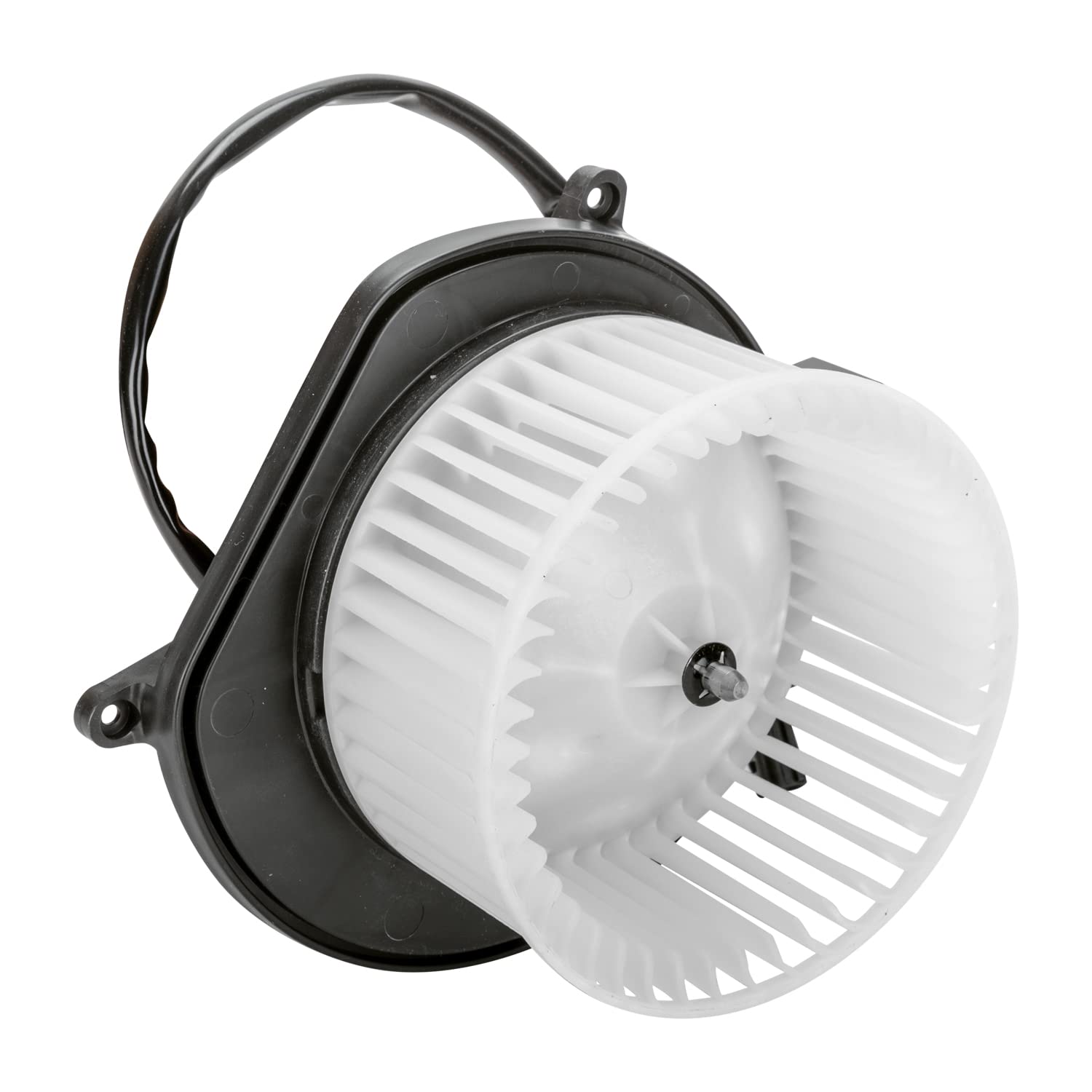 Replacement TYC 700209 Blower Assembly for Chrysler PT Cruiser