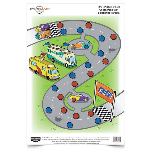 Birchwood Casey 12 x 18-Inch Pregame Checkered Flag Target, Multi, One Size (BC-35574)