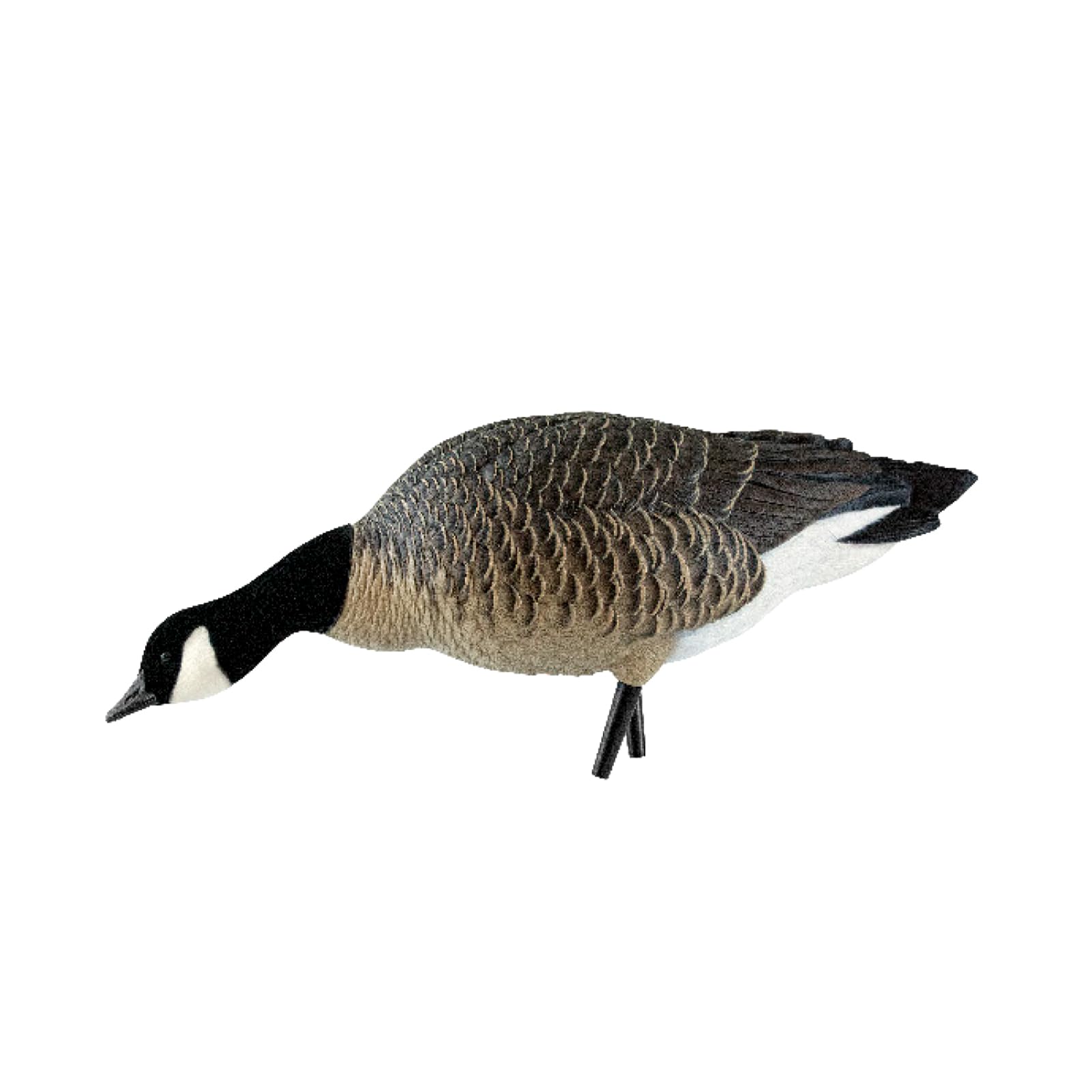 Avian X AXP Fusion Pack Honkers Lesser Canada Goose Decoys, Oversized Realistic Feeder Bodies, Flocked Heads, and Slotted Decoy Bag, Set of 6