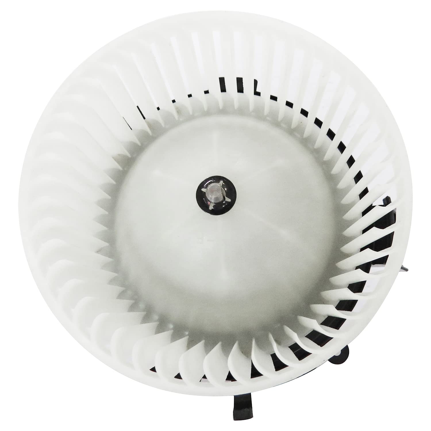 Blower TYC Assembly