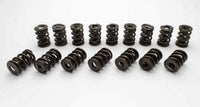 NexTek Manley 221460-16 Dual Engine Valve Spring