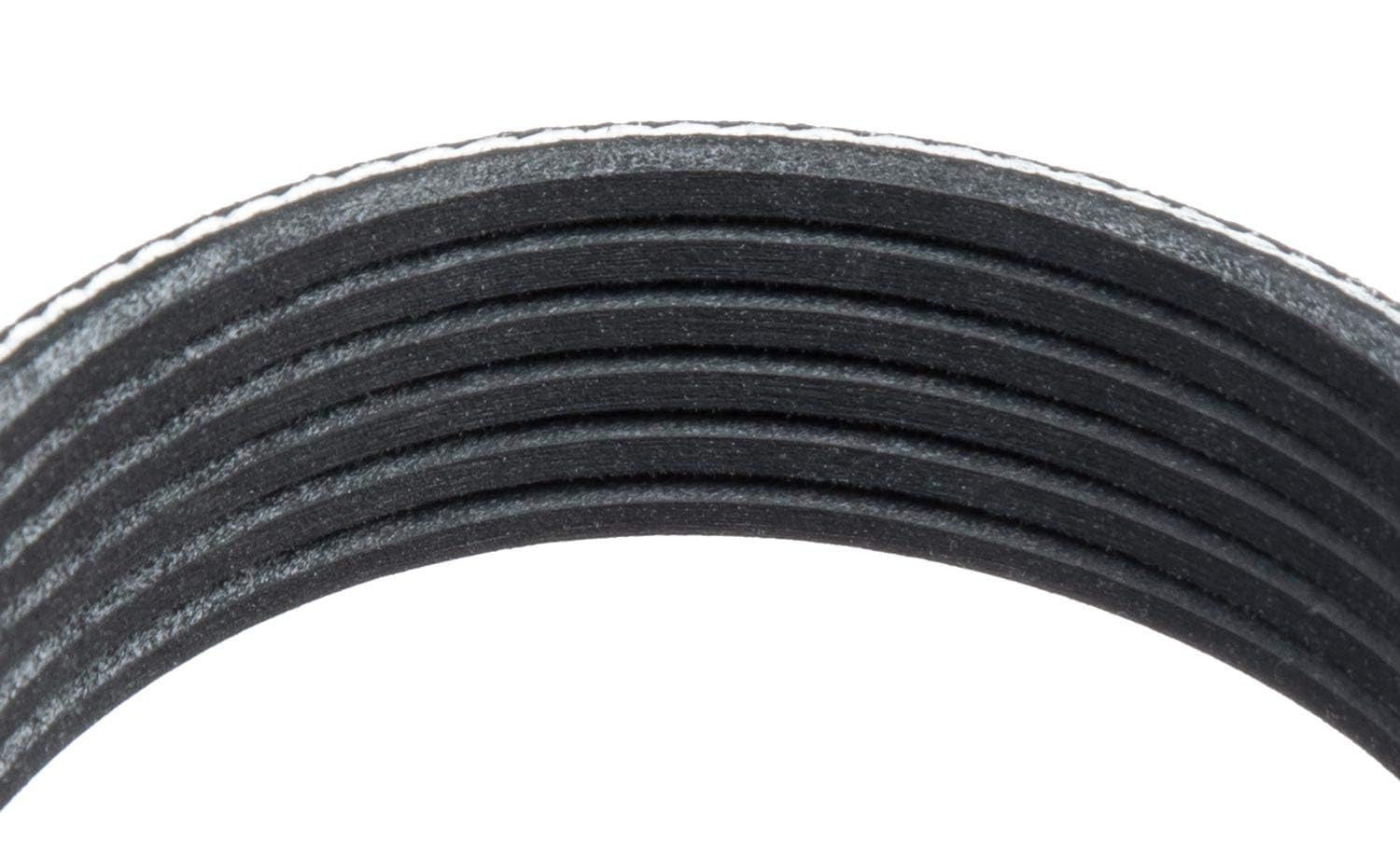 Standard Multi V-Belt Goodyear Belts 1061110