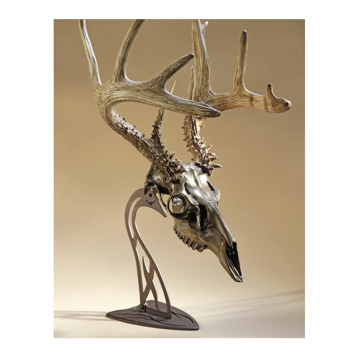 Skull Hooker European Trophy Mount Table Hooker – Perfect Kit for Table Display of Taxidermy Deer Antlers and other Skulls – Robust Brown