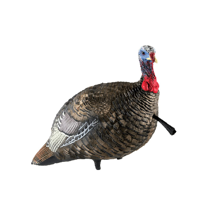 LCD Quarter Strut Jake Avian X Turkey Decoy