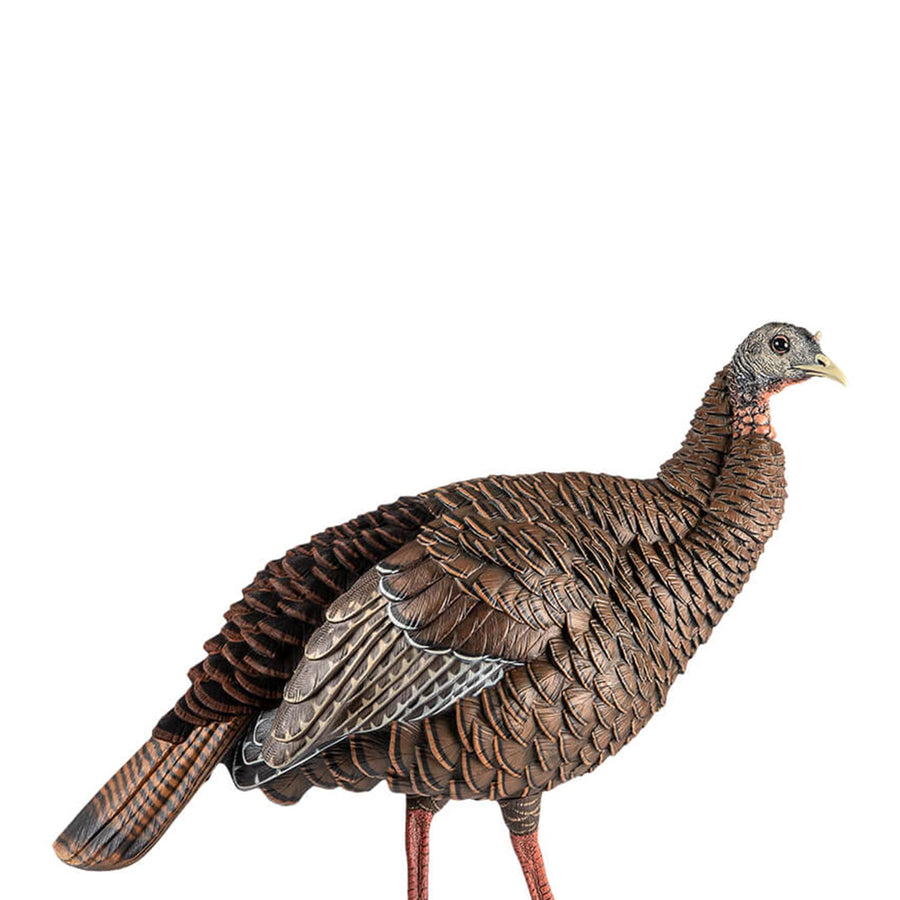 HDR Hen Turkey Decoy Avian-X | Durable Realistic Lifelike Standing Hunting Decoy with 2 Removable Heads, Carry Bag & Integrated Stake, AVX8106