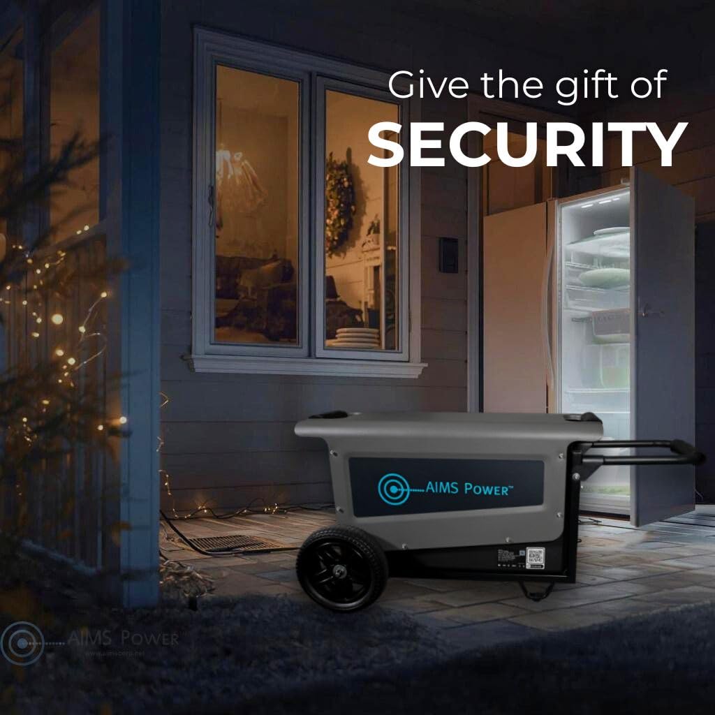 3.1 kWh Portable Solar Generator 30 Amp Output Lithium Battery | Solar & Grid Inputs