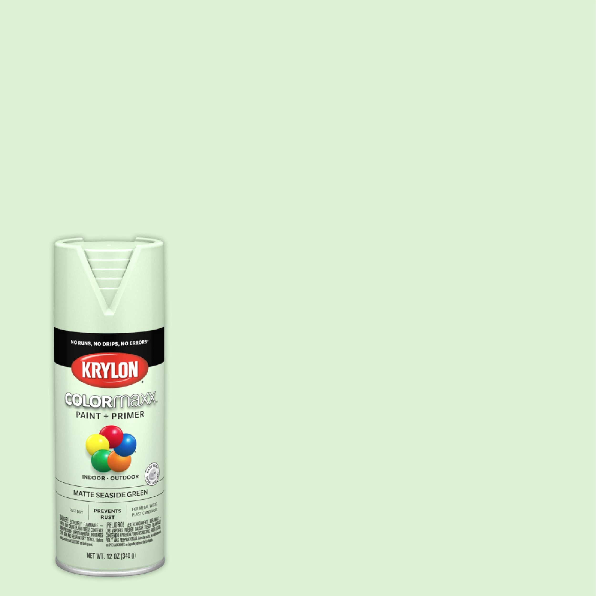 Krylon COLORmaxx K05552007 Spray Paint and Primer for Indoor/Outdoor Use, Matte Seaside Green