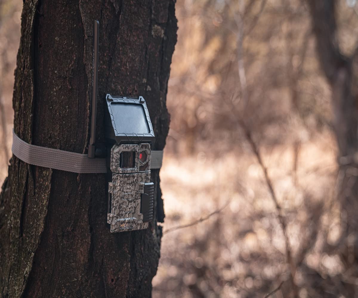 SPYPOINT Trail Camera Link-Micro-S-LTE-V Cellular Solar Panel 10MP Photos Night Vision 4 LED Infrared Flash 80'Detection Flash Range 0.4second Trigger Speed Game Cell Cam for Hunting-for USA only