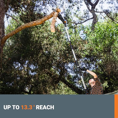 20V Worx Nitro 8 '' cordless pole chainsaw 2.0 Ah battery and charger included WG349