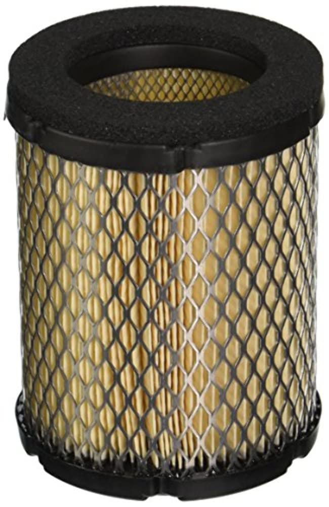 Onan Cummins 1403295 Air Filter