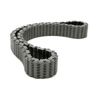 Transfer Case USA Standard BW1370, BW4401, NP241C, & NP243 Chain